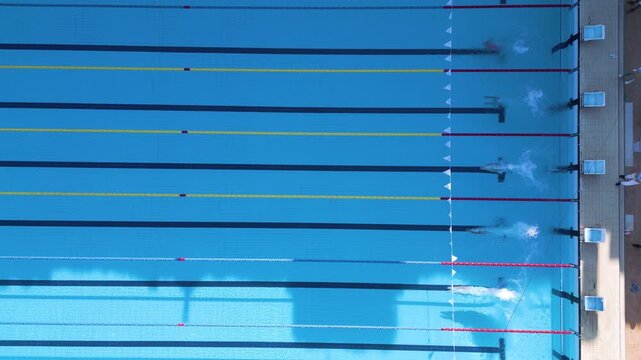 Aerial View of Swimmers Start Diving into Swimming Pool Competition Race