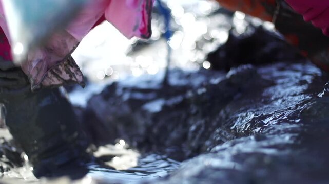 Korean Mudflat Octopus Harvesting Fishing Fisher Mud Mudflat Sea Ocean Fisherman Korea 한국 갯벌 낙지잡이 뻘낙지 낙지 어민 채취 수산물 해양 전통 작업 어업 바다