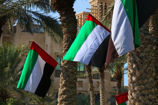 United Arab Emirates national flags on palm trees in Dubai.
