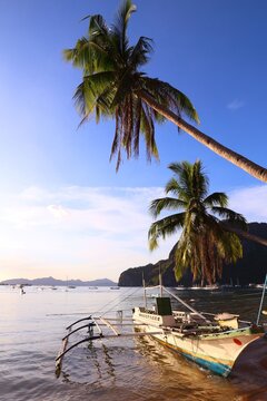 Philippines beach landscape - Corong Corong beach in El Nido, Palawan island. Sunset light and leaning palm tree.