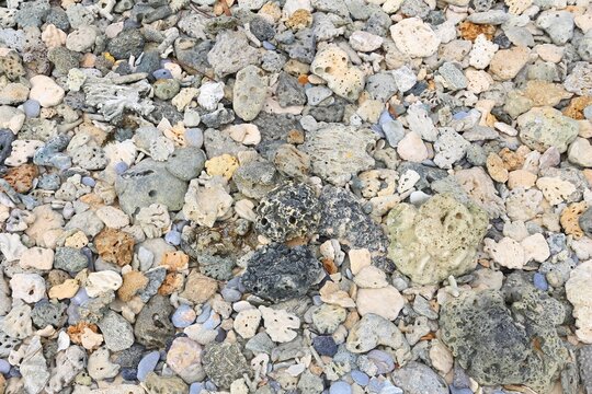 Beach in the Philippines. Beach background from Palawan island, with fossilized coral and colorful stones.