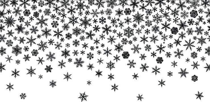 Snow flakes vector background.