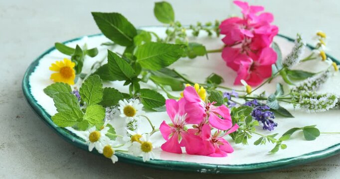 Different aromatic herbs with beautiful flowers on gray textured table, closeup. Camera moving right