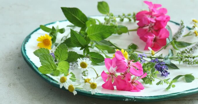 Different aromatic herbs with beautiful flowers on gray textured table, closeup. Camera moving left