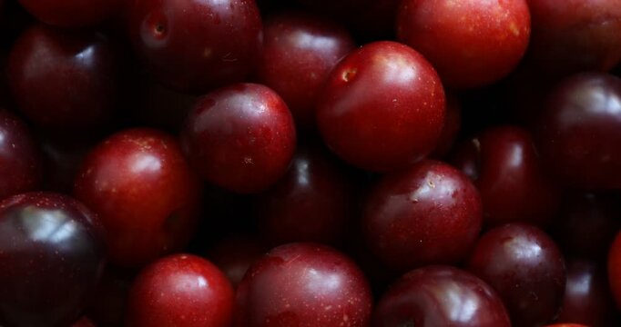 Top view of ripe red cherry plums, spinning