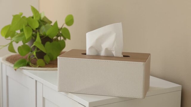 Holder with paper tissues and houseplant on cabinet indoors, closeup. Camera moving