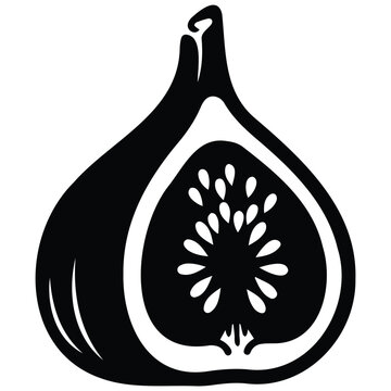 Fresh fig half silhouette vector illustration showing internal seeds and pulp structure.