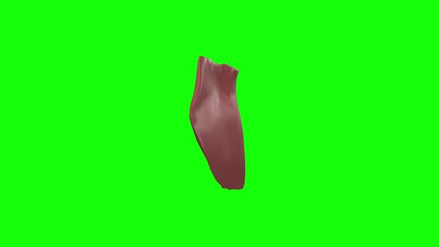 Left Thyrohyoid Rotation Green Screen CC BY