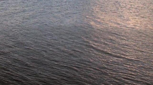 Sunlight and reflected light shimmer across a rippling cold water surface. The broader composition includes surface texture and natural light, keeping surface texture and scale clearly readable.