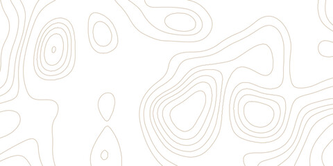Minimalist beige topographic contour map background with delicate line art for modern geography and landscape design © MD