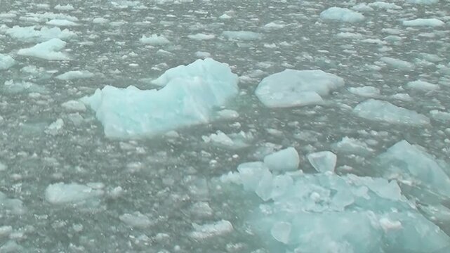 Dense brash ice and floating ice cover the surface of cold water. The frame preserves natural light and surface texture as supporting detail, adding natural texture and depth to the view.