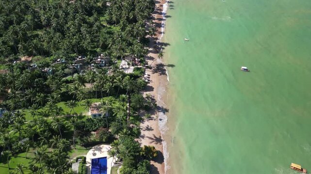 Vista a&eacute;rea de vilarejo litor&acirc;neo com casas entre coqueiros &agrave; beira do mar turquesa, paisagem serena da costa de Alagoas durante viagem