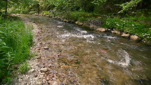 Mountain stream flowing in the forest. Water stream motion in nature. Beautiful wild natural environment, wilderness ecology background.