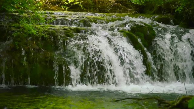 Waterfall cascade in deep forest. Wild nature water fall creek landscape. Natural wild environment, trees, wood, river background. 