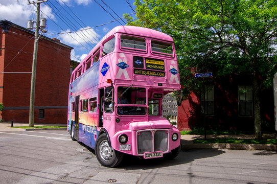 Saint John, NB &mdash; Jun. 19, 2018: Gray Line&rsquo;s pink AEC Routemaster RML 2332 double-decker sightseeing bus travels along a city street during the cruise-tourism season.
