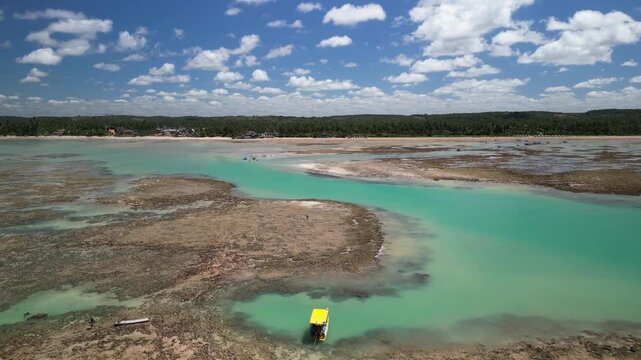 Vista a&eacute;rea ampla de piscinas naturais com guarda-sol amarelo e litoral ao fundo, panorama paradis&iacute;aco da costa de Alagoas durante viagem