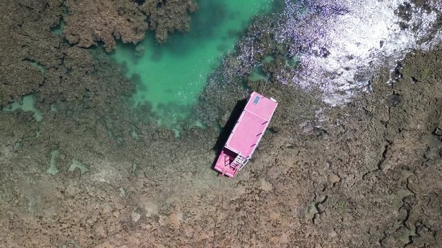 Vista a&eacute;rea direta de recifes texturizados com guarda-sol rosa vibrante, padr&atilde;o abstrato natural da mar&eacute; baixa durante viagem pelo litoral do nordeste brasileiro