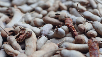 Close-up of tamarind fruit © Jimmy