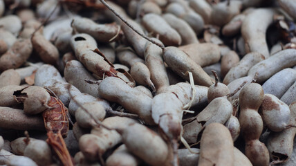 Close-up of tamarind fruit © Jimmy