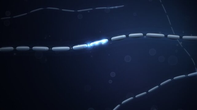 Saltatory Nerve Conduction Neuron Impulse Seamless Loop
