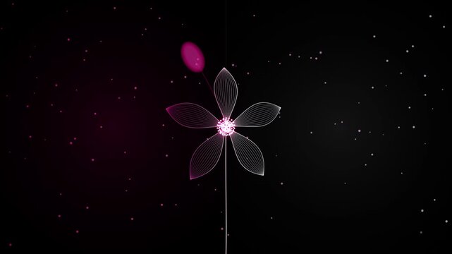 Minimalist Pink Flower Animation with Glowing Neon Petals and Floating Particle Light Backgrounds