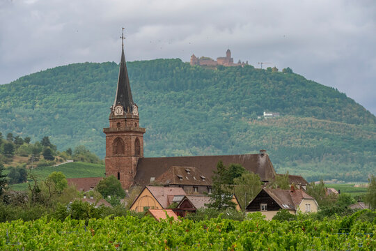 Bergheim, France - 08 21 2026: Alsatian Vineyard. Panoramic view of Catholic Church of Notre-Dame de l'Assomption and the Haut-Koenigsbourg castle, forests and vineyard fields all around