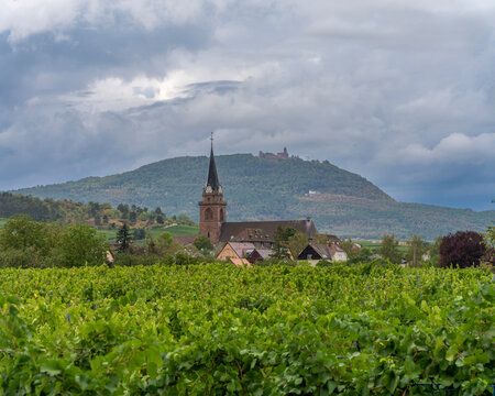 Bergheim, France - 08 21 2026: Alsatian Vineyard. Panoramic view of Catholic Church of Notre-Dame de l'Assomption and the Haut-Koenigsbourg castle, forests and vineyard fields all around