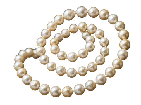 White pearl necklace arranged in a spiral pattern on a with white pearls luxury accessory shining pearls pearl beads fashion item cultured pearl gemstone elegant neckl as PNG cutout