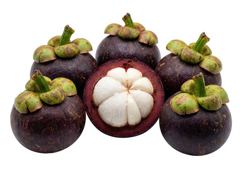 Group of fresh purple mangosteen fruit with one sliced open exotic fruit tropical fruit sweet fruit white pulp food photography mangosteen nutrition vegetarian ingredient as isolated object