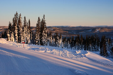 Winter ski slope in Trysil, Norway, illuminated by warm sunrise light with snow-covered pine trees and panoramic mountain views under clear sky.