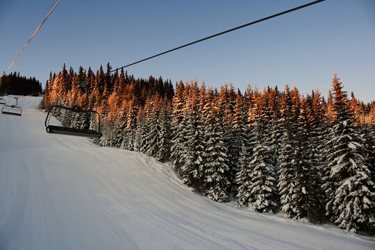 Ski chairlift above a snowy slope and pine forest in Trysil, Norway, with snow-covered trees glowing in warm golden sunrise light on a clear winter morning.