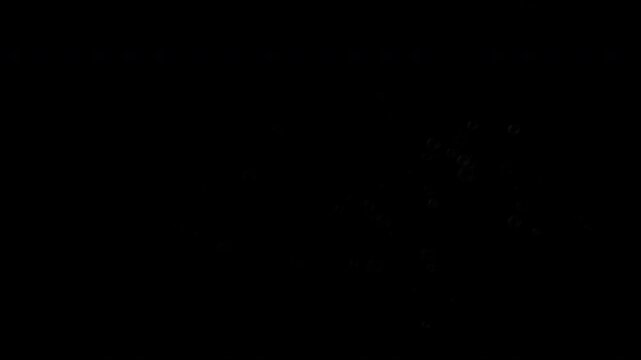 These are soap bubble particles for text animation A