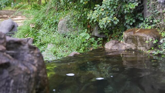 Waterfall flowing into a calm garden pond