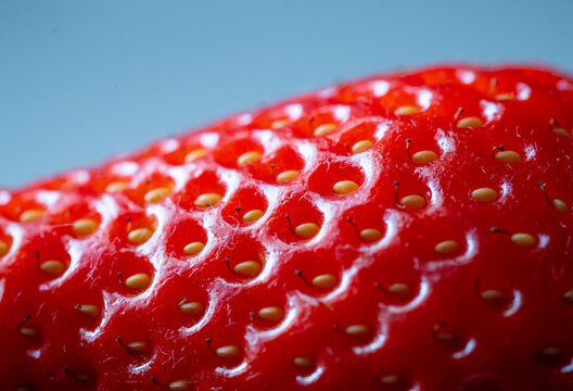STRAWBERRY PLANET