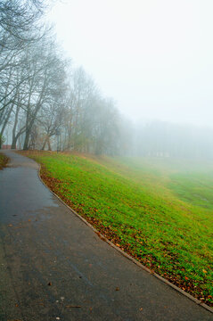 Autumn foggy park background. A wet asphalt alley curving beside bright green grass. Bare trees fading into thick fog and fallen leaves along the path edge