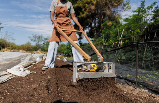 Woman tilling garden soil preparing for planting season