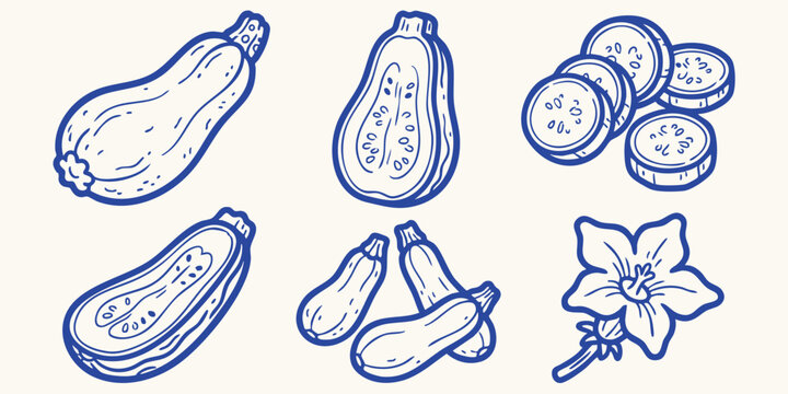 Hand drawn doodle collection of whole and sliced zucchini with blossom on beige background