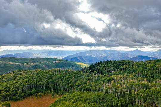 Aerial view of the Alpine Loop Scenic Byway showing the start of autumn in the aspen, juniper, and evergreen forest with distant mountains under a cloudy sky in Utah County, Utah, United States.