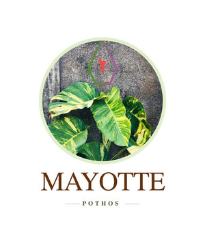 green leaf logo