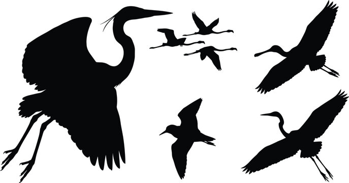 Flying wading birds silhouettes set featuring heron egret flamingo and spoonbill on white background.