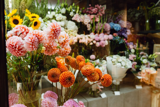 Colorful Flowers Displayed in a Flower Shop