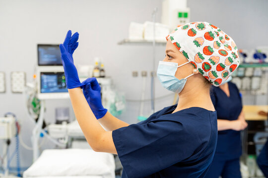 Medical professional putting on blue surgical gloves