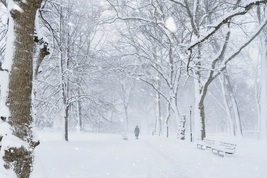 Snowstorm in Brooklyn NYC
