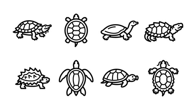 Various Tortoise and Turtle Iconography: A collection of simple line art illustrations depicting different species of tortoises and turtles from various angles, showcasing their shells and forms.