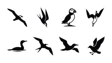Fototapeta premium Silhouette Collection of Seabirds: A graphic set of diverse seabird silhouettes, including a puffin, albatross, cormorant, and gulls in various poses.