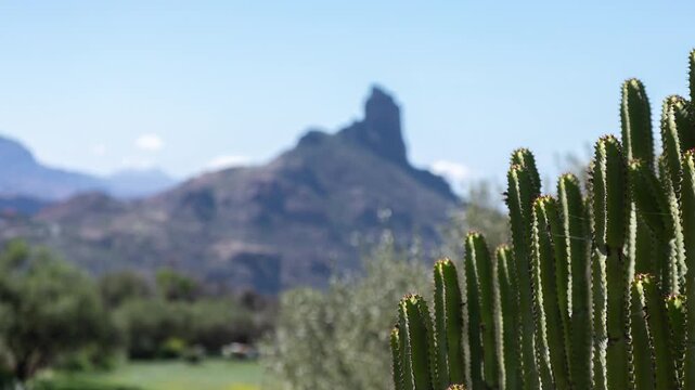 a timelapse of the roque nublo in gran canaria with a cactus in the foreground