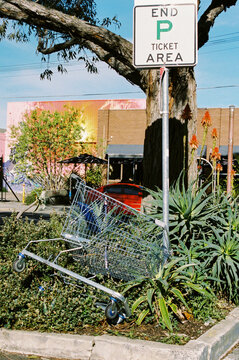 Shopping Cart Nestled Among Urban Plants