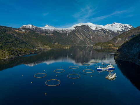 Aerial view of a fish farm with circular pens and a service vessel in a calm fjord surrounded by snow-capped mountains in Fjord, More og Romsdal, Norway.