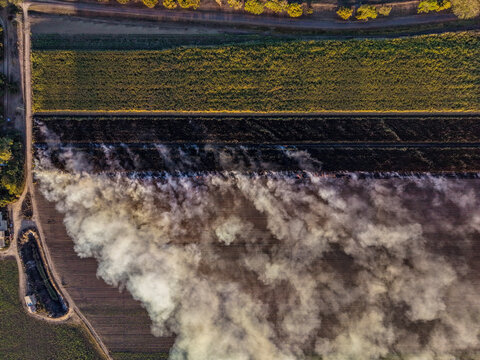 Aerial view of a sugarcane field being burned for harvest with thick white smoke billowing across the agricultural landscape in Home Hill, Queensland, Australia.