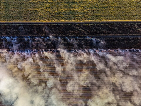Aerial view of a sugarcane field being burned with thick smoke rising from the rows of crops in Home Hill, Queensland, Australia.